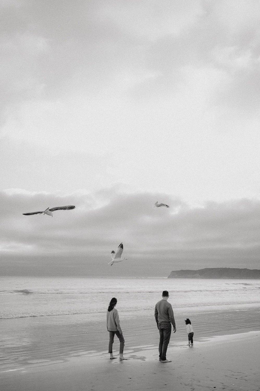 carousel-hero-element image-9